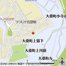 石川県金沢市つつじが丘264周辺の地図