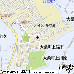 石川県金沢市つつじが丘300周辺の地図