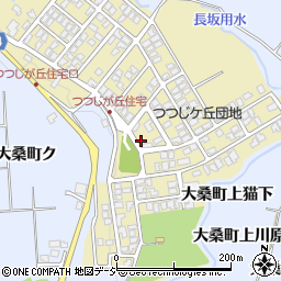 石川県金沢市つつじが丘196周辺の地図