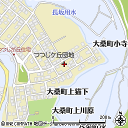 石川県金沢市つつじが丘307周辺の地図