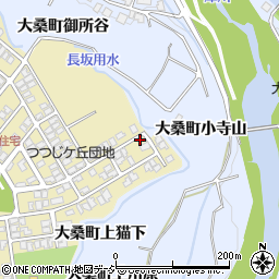 石川県金沢市つつじが丘317周辺の地図