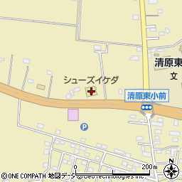池田履物店周辺の地図