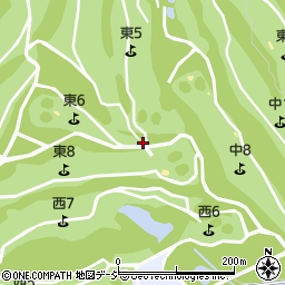 茨城県常陸大宮市石沢671周辺の地図