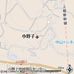 群馬県渋川市小野子293周辺の地図