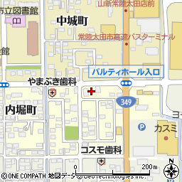 茨城県常陸太田市内堀町3508周辺の地図