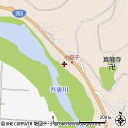 群馬県渋川市小野子1134周辺の地図