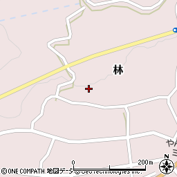 群馬県吾妻郡長野原町林2110周辺の地図