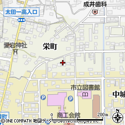 茨城県常陸太田市栄町3164周辺の地図