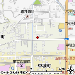 茨城県常陸太田市栄町3340周辺の地図