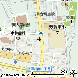 栃木県芳賀郡芳賀町祖母井南1丁目10-9周辺の地図