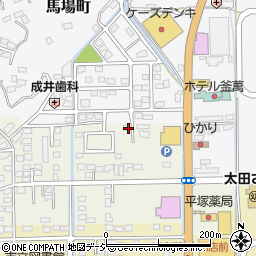 茨城県常陸太田市栄町3324周辺の地図