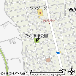 栃木県鹿沼市西茂呂4丁目17周辺の地図