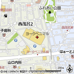 有限会社蛸屋菓子店　ヨークベニマル鹿沼店周辺の地図