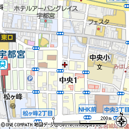 エフエム栃木川上ビル周辺の地図