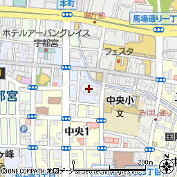 ナイスロイヤルタワー宇都宮中央周辺の地図