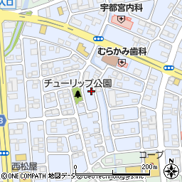 栃木県宇都宮市鶴田周辺の地図