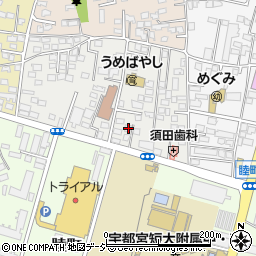 栃木県宇都宮市南一の沢町1-29周辺の地図