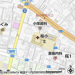 宇都宮市立桜小学校周辺の地図