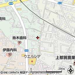 栃木県鹿沼市上野町298-11周辺の地図