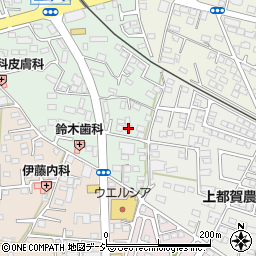 栃木県鹿沼市上野町298-38周辺の地図