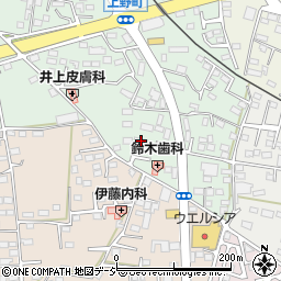 栃木県鹿沼市上野町302-1周辺の地図