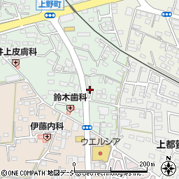 栃木県鹿沼市上野町298周辺の地図