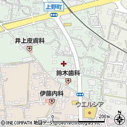 栃木県鹿沼市上野町298-3周辺の地図