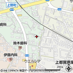 栃木県鹿沼市上野町298-8周辺の地図