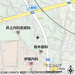 栃木県鹿沼市上野町298-55周辺の地図