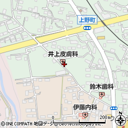 栃木県鹿沼市上野町315周辺の地図