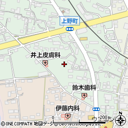 栃木県鹿沼市上野町318周辺の地図