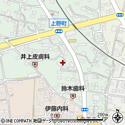 栃木県鹿沼市上野町316-2周辺の地図