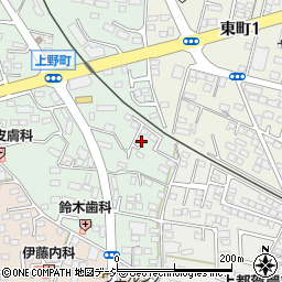 栃木県鹿沼市上野町290-19周辺の地図