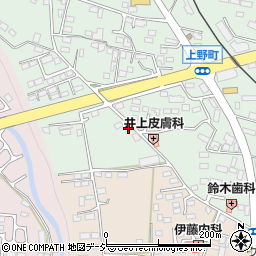 栃木県鹿沼市上野町407周辺の地図