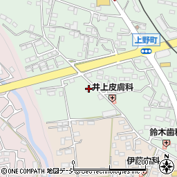 栃木県鹿沼市上野町405周辺の地図