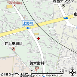 栃木県鹿沼市上野町321周辺の地図