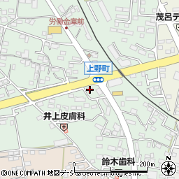栃木県鹿沼市上野町332周辺の地図