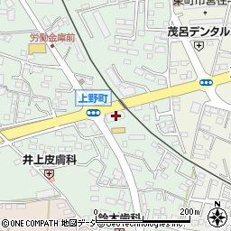 栃木県鹿沼市上野町329周辺の地図