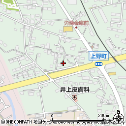 栃木県鹿沼市上野町358周辺の地図