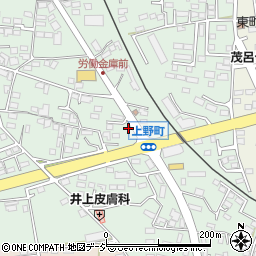 栃木県鹿沼市上野町338-1周辺の地図