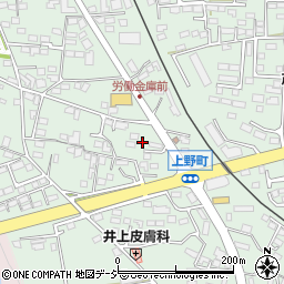 栃木県鹿沼市上野町342-35周辺の地図