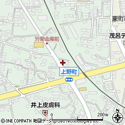 栃木県鹿沼市上野町342-3周辺の地図