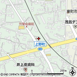 栃木県鹿沼市上野町337周辺の地図