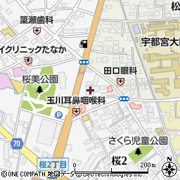 栃木信用金庫桜通り支店周辺の地図