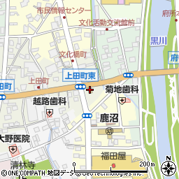 鳥居薬局周辺の地図