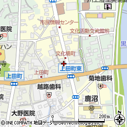 有限会社高村昭子商店周辺の地図