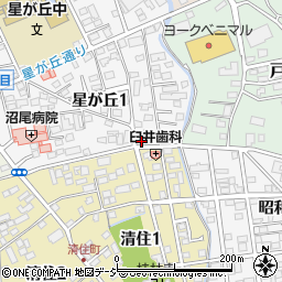 栃木県宇都宮市星が丘1丁目2-20周辺の地図