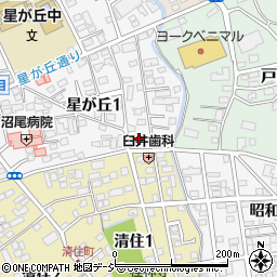 栃木県宇都宮市星が丘1丁目2-19周辺の地図
