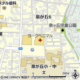 栃木銀行ヨークベニマル泉が丘店 ＡＴＭ周辺の地図