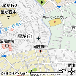 栃木県宇都宮市星が丘1丁目2-13周辺の地図